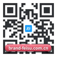 苹果版 iOS 二维码 | feisu